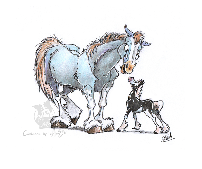 Horse Illustrations and Cartoons